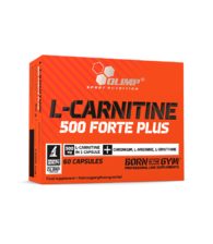 L-CARNITINE 500 FORTE PLUS