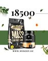 WARRIOR MASS + CREATINE