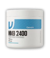 HMB 2400